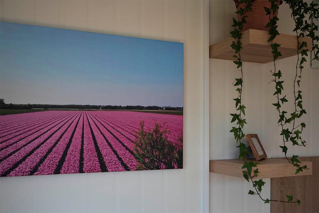 Bloem & Bed Bed & Breakfast 't Zand Luaran gambar