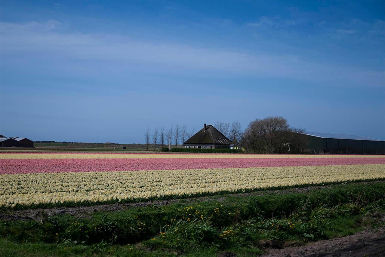 Bloem & Bed Bed & Breakfast 't Zand Luaran gambar